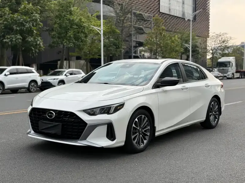 GAC Motor Empow (Shadow Leopard)