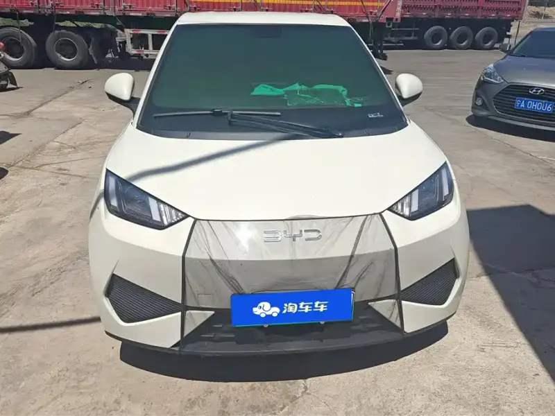 BYD Seagull