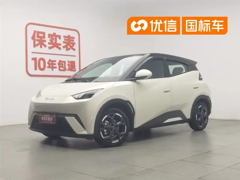 BYD Seagull