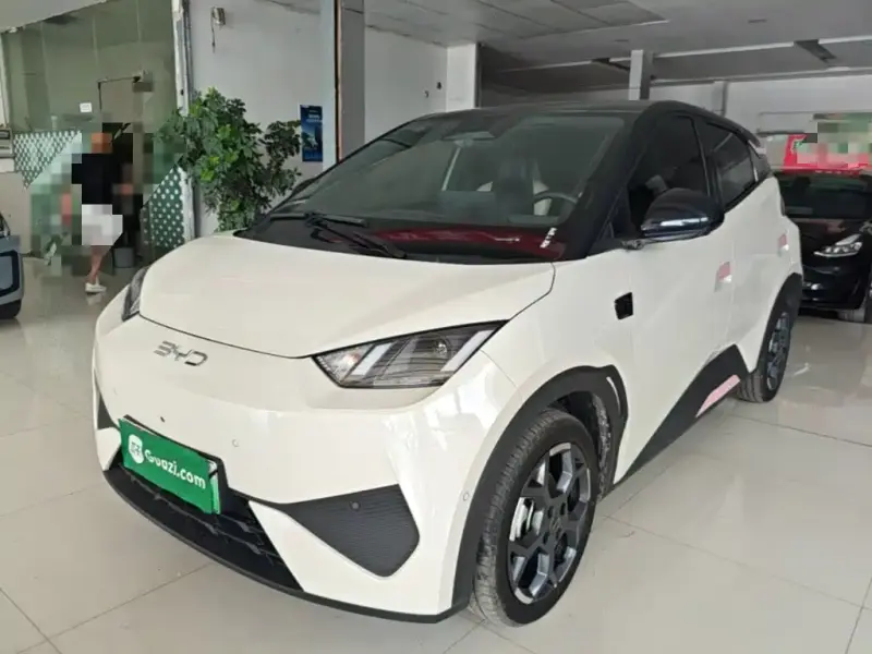 BYD Seagull