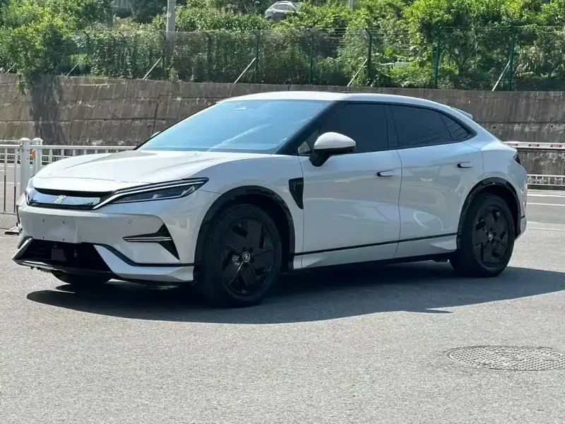 BYD L EV