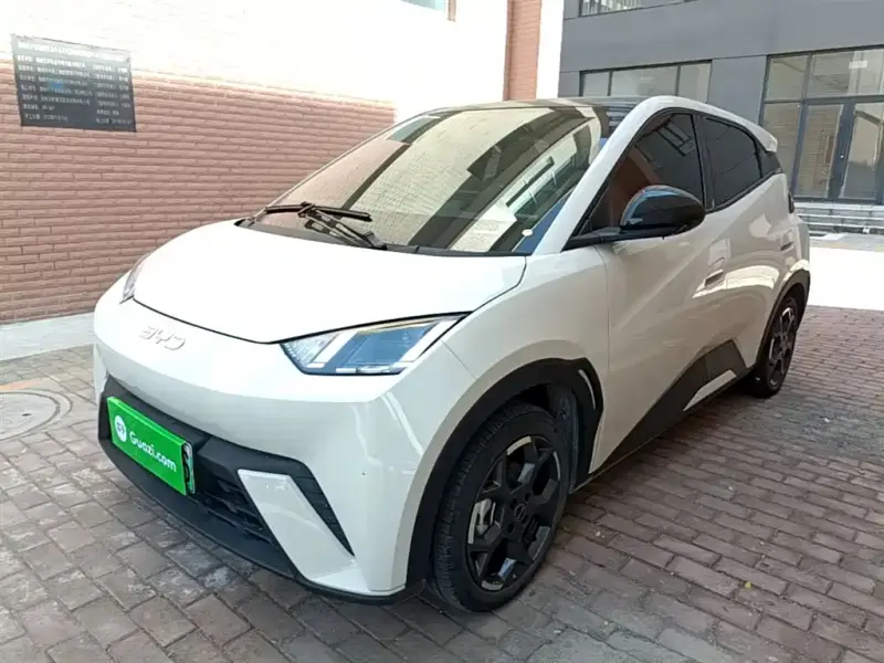BYD Seagull