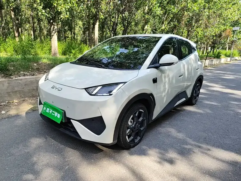 BYD Seagull