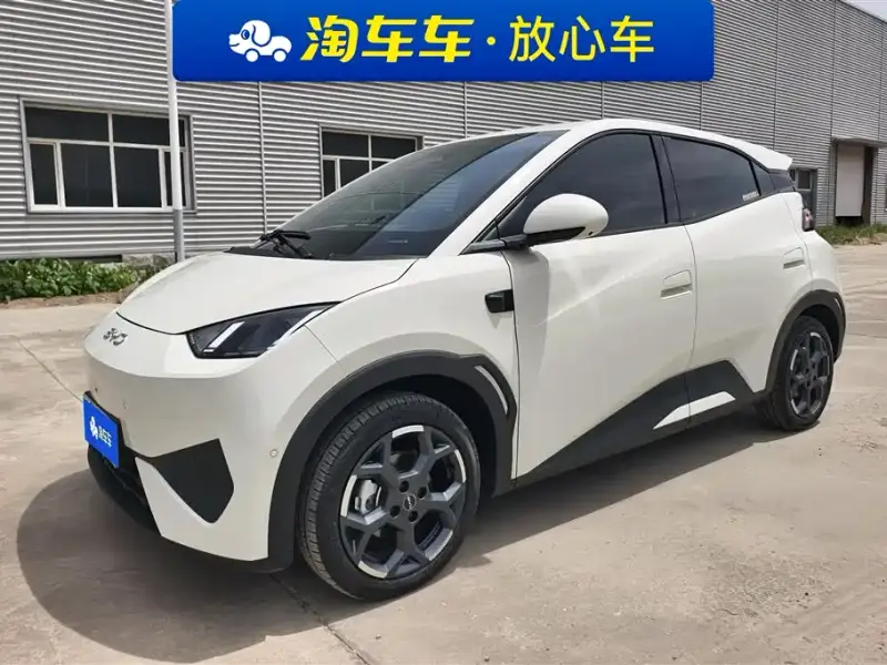 BYD Seagull