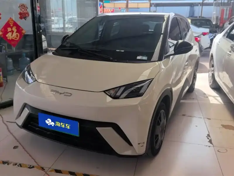BYD Seagull