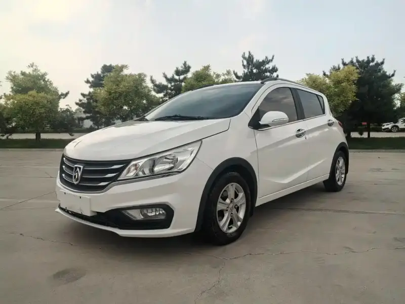Baojun 310