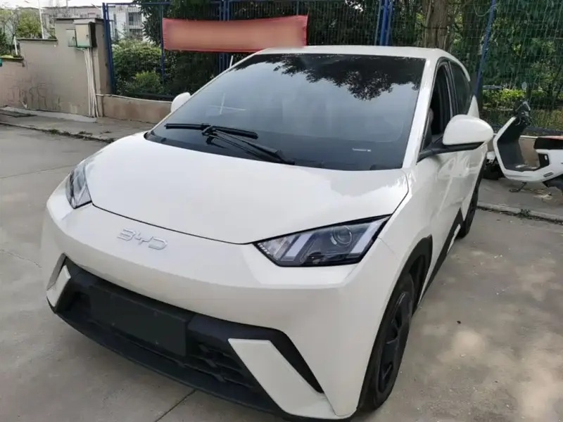 BYD Seagull