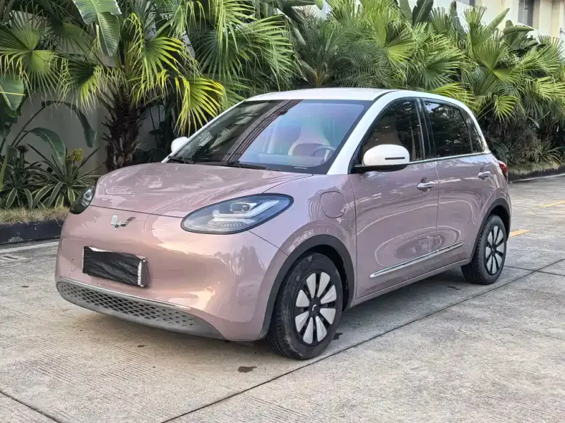 Wuling Bingo