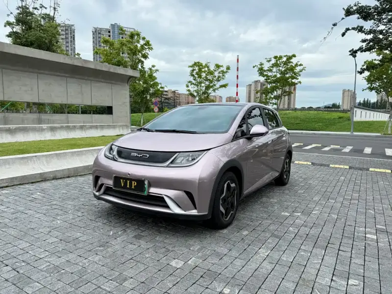 BYD Dolphin