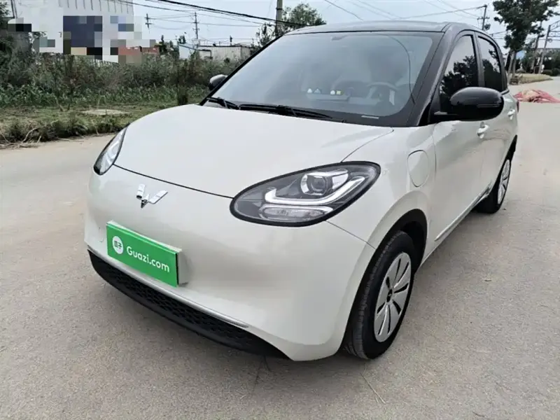 Wuling Bingo