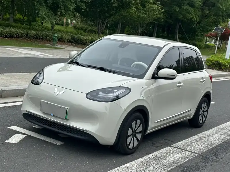 Wuling Bingo
