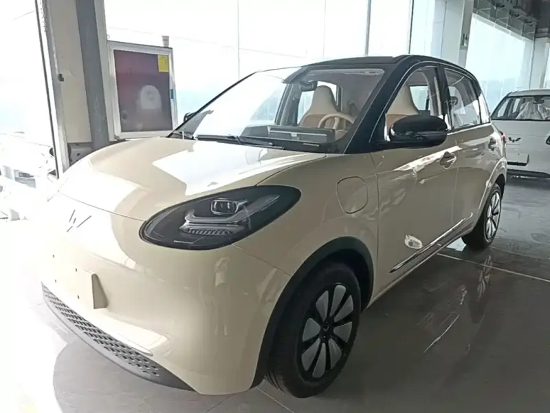 Wuling Bingo