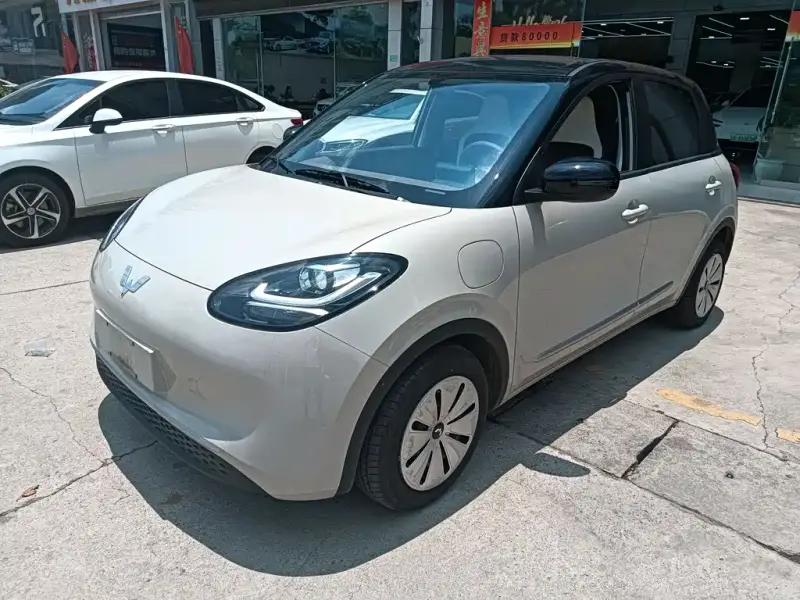 Wuling Bingo