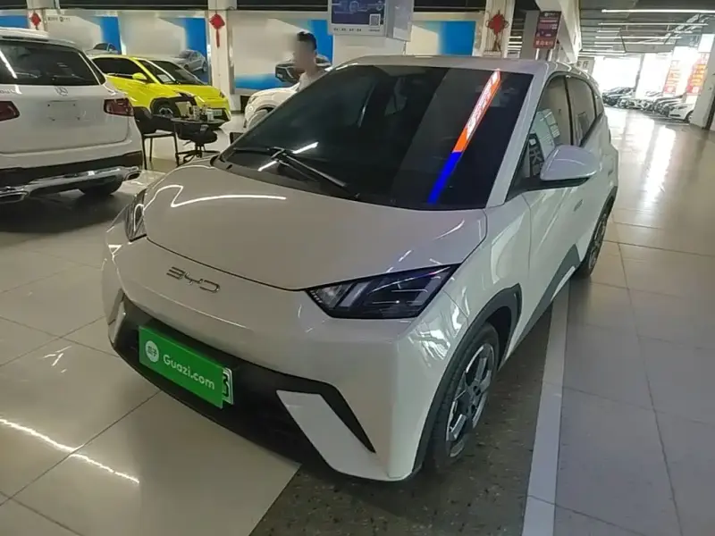 BYD Seagull