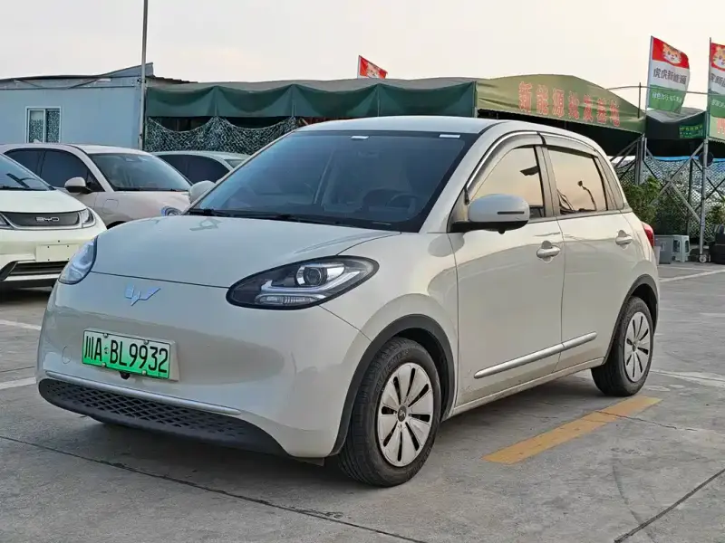 Wuling Bingo