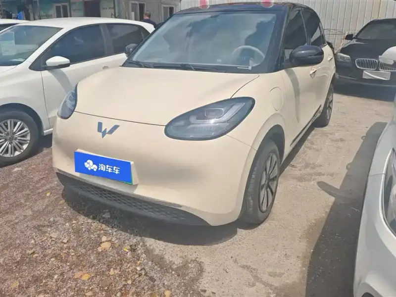 Wuling Bingo
