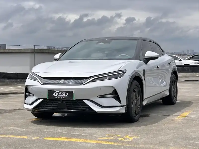 BYD L EV