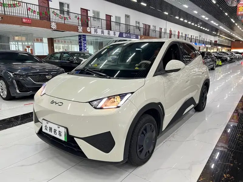 BYD Seagull