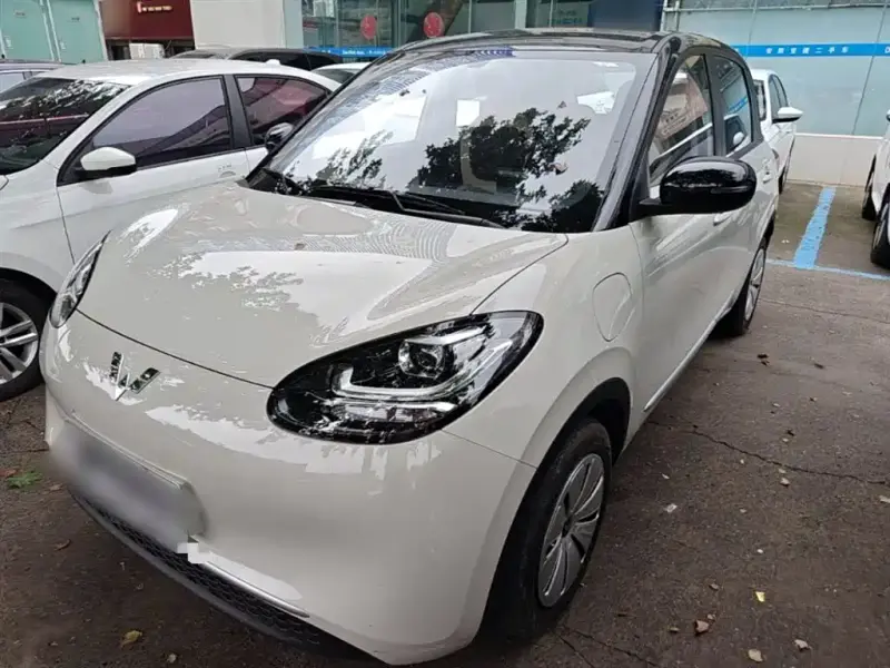 Wuling Bingo