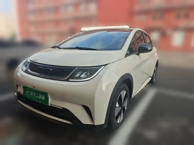 BYD Dolphin