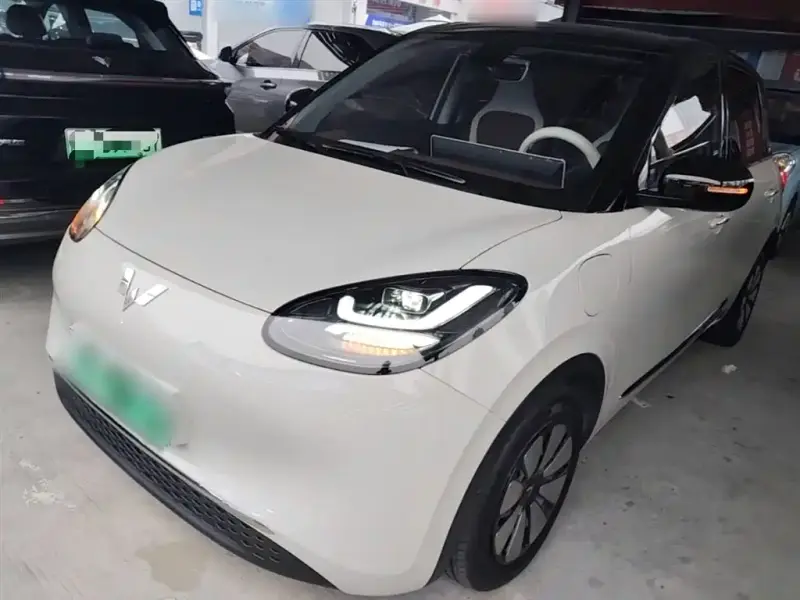 Wuling Bingo