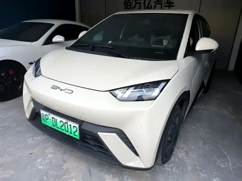 BYD Seagull