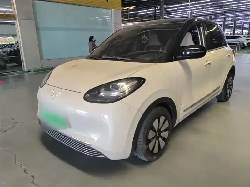 Wuling Bingo