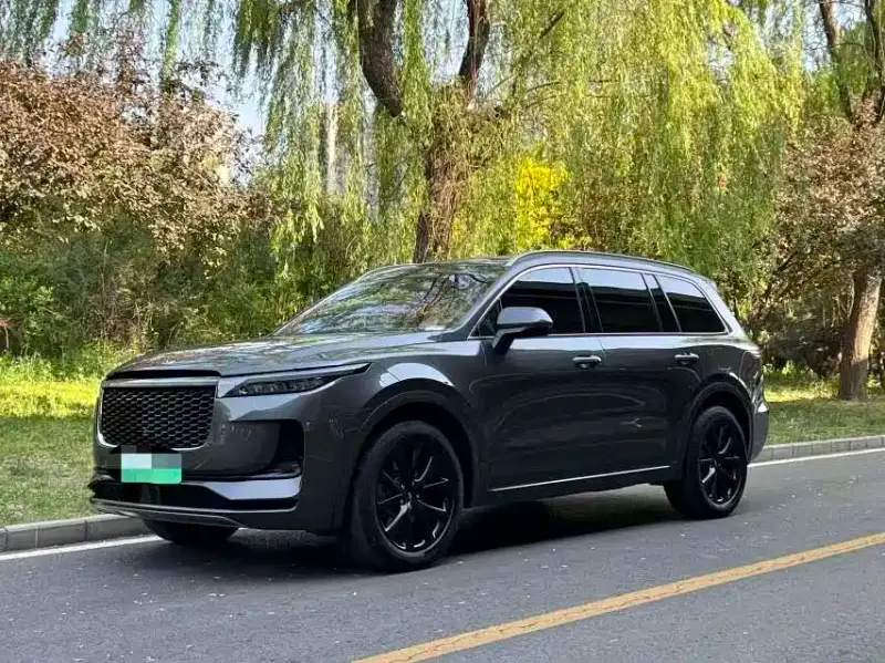Li Auto ONE
