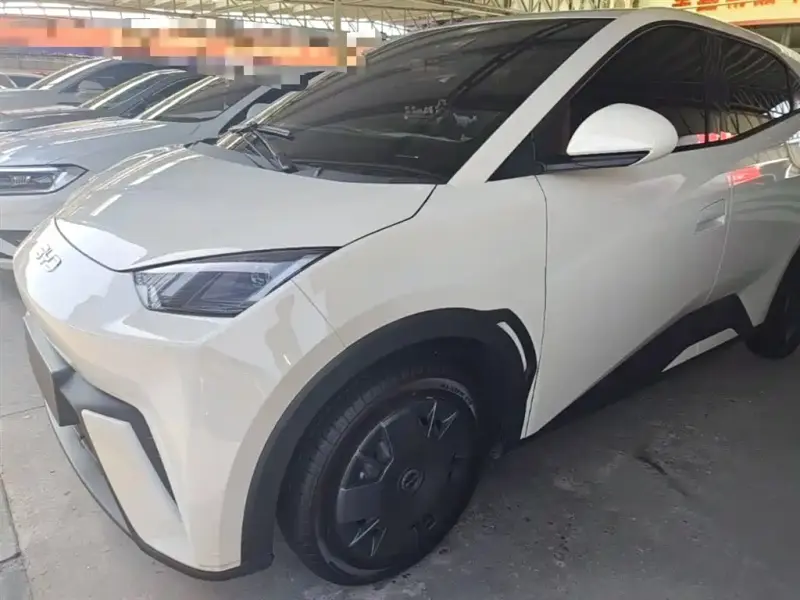 BYD Seagull
