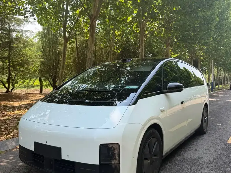 Li Auto MEGA