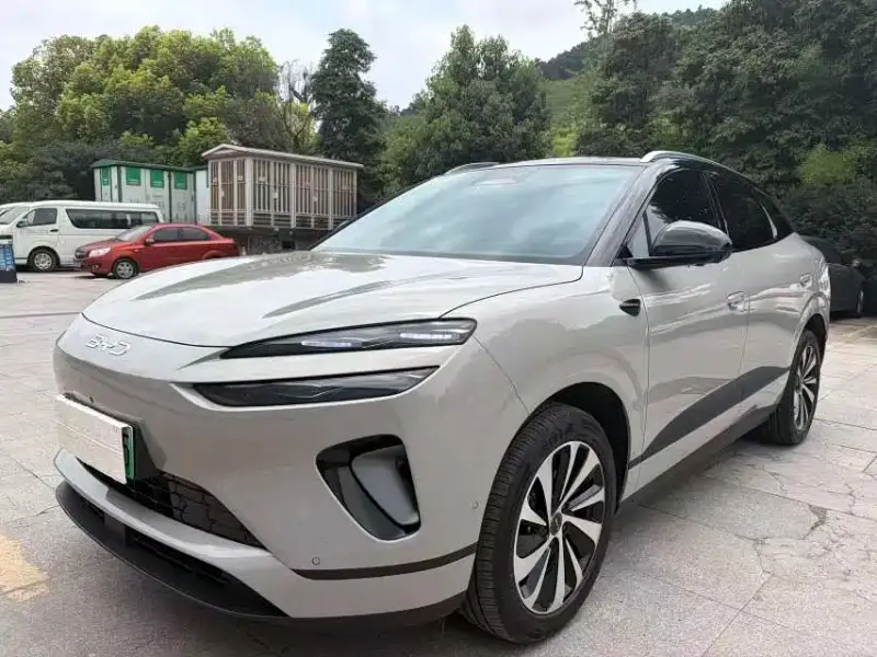 BYD Sea Lion 06