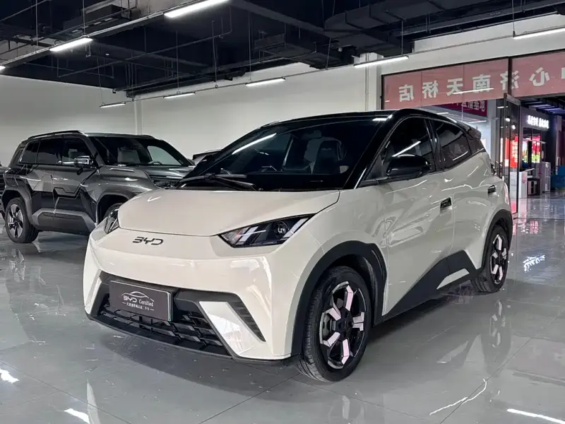 BYD Seagull