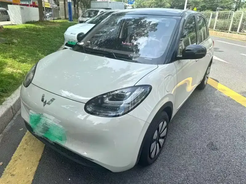 Wuling Bingo