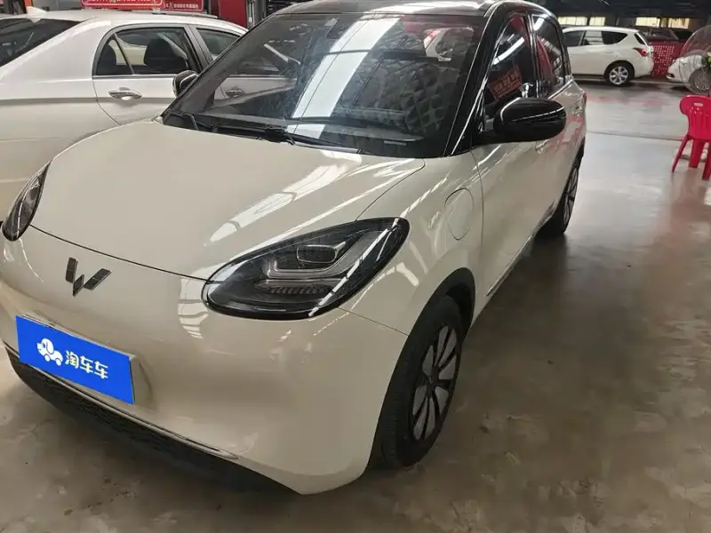 Wuling Bingo