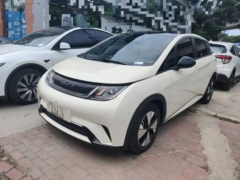 BYD Dolphin