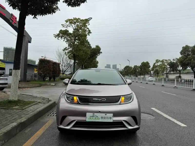 BYD Dolphin