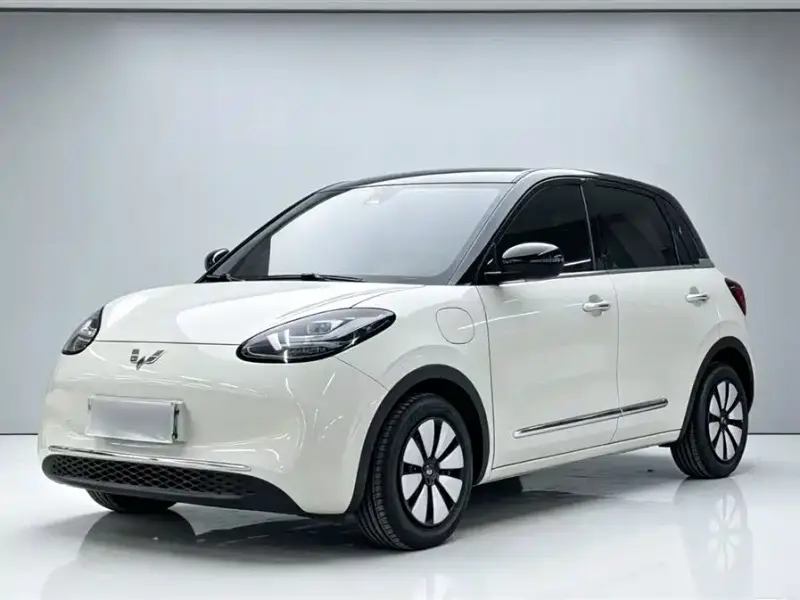 Wuling Bingo