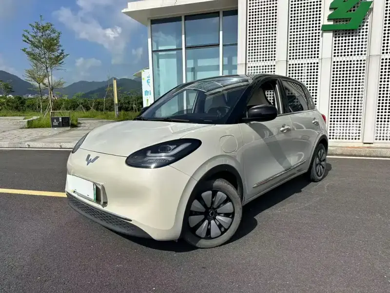 Wuling Bingo