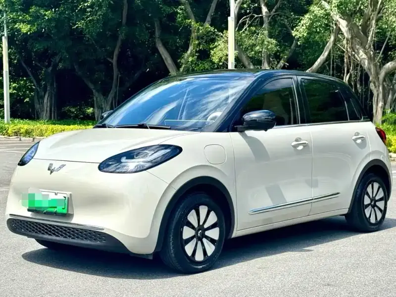 Wuling Bingo