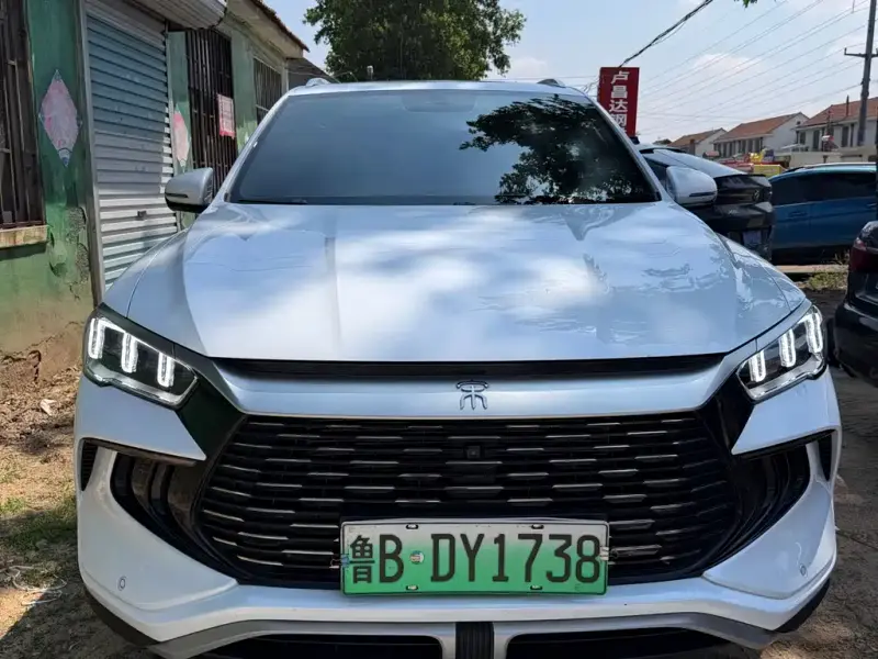 BYD Pro New Energy