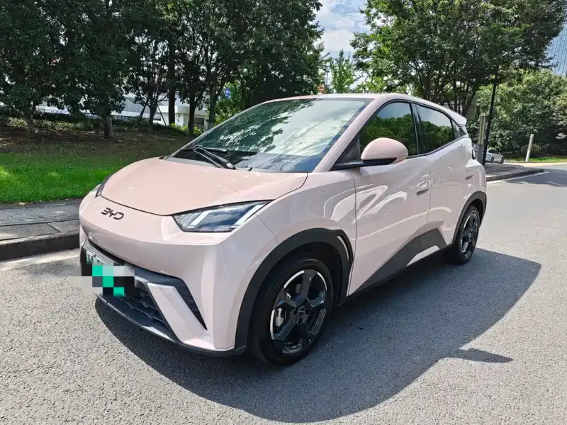 BYD Seagull
