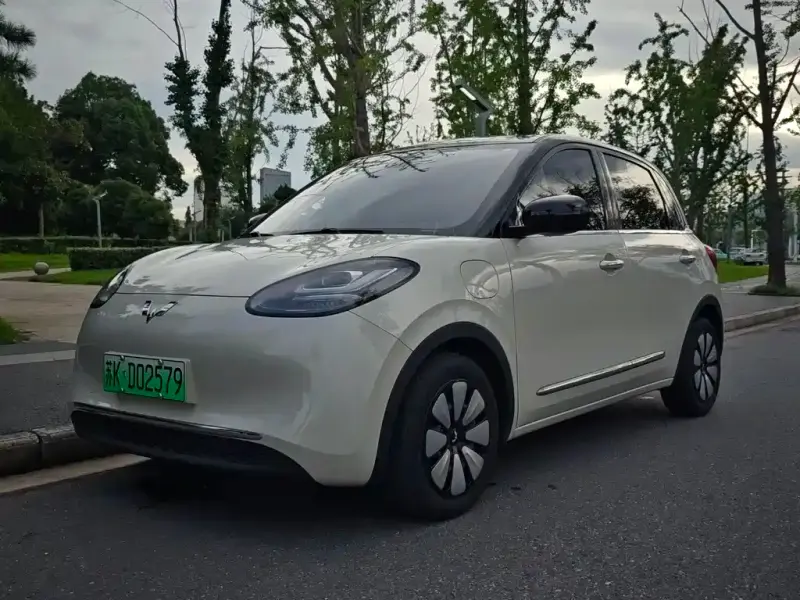 Wuling Bingo