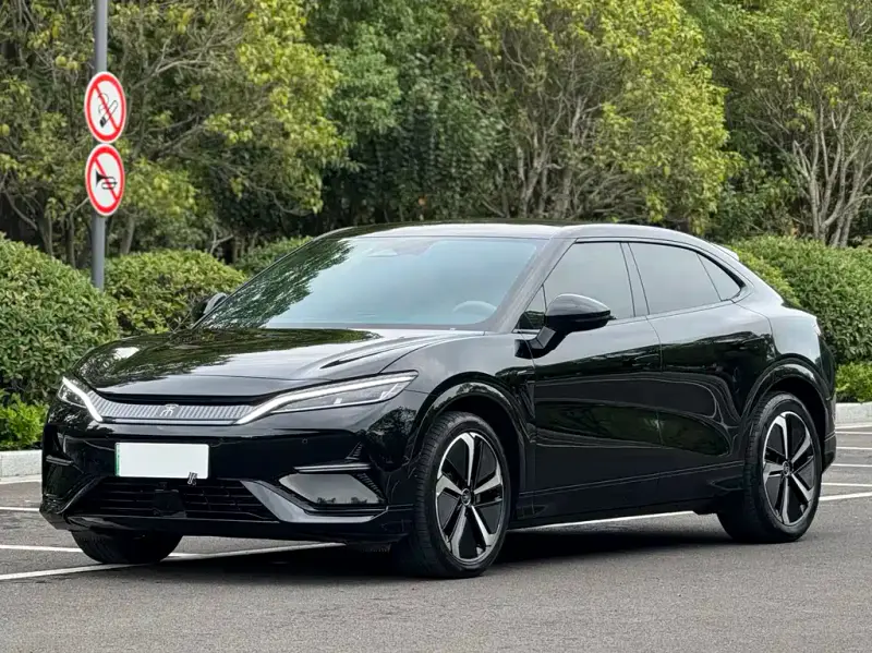 BYD L EV