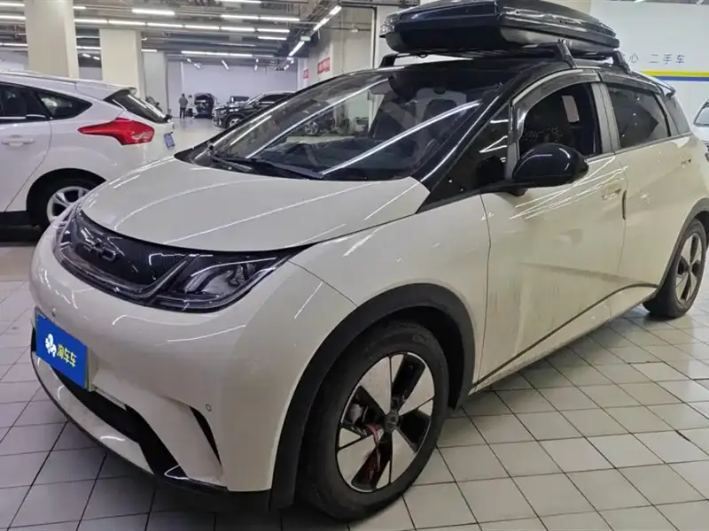 BYD Dolphin