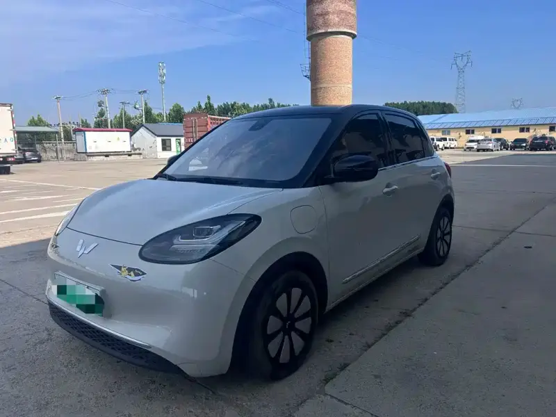 Wuling Bingo