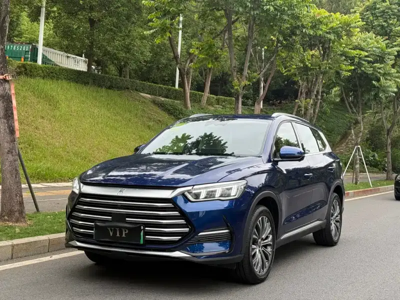 BYD Pro New Energy