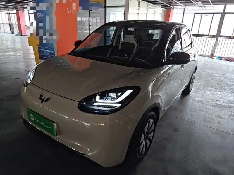 Wuling Bingo