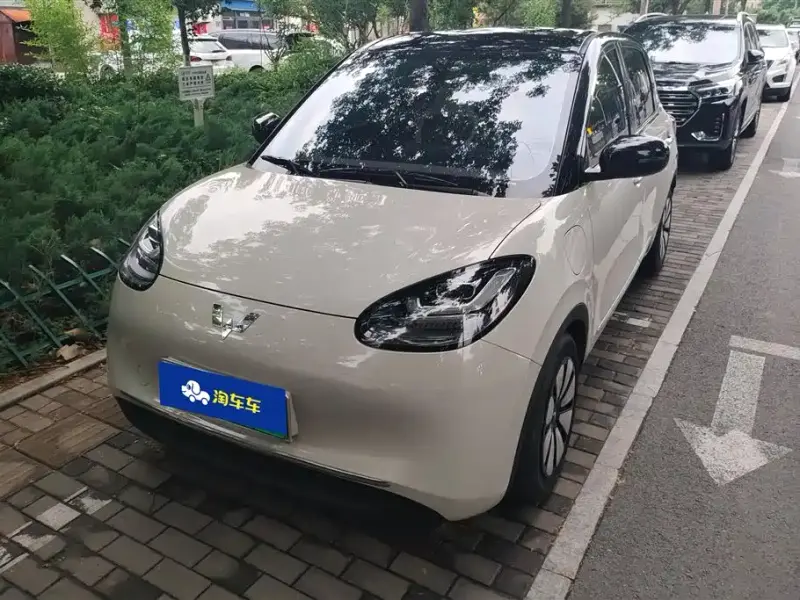 Wuling Bingo