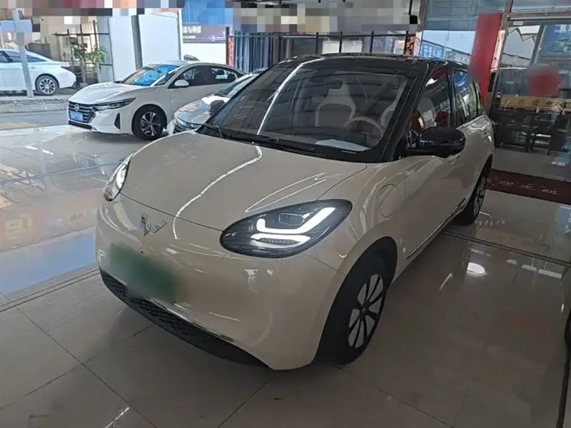 Wuling Bingo