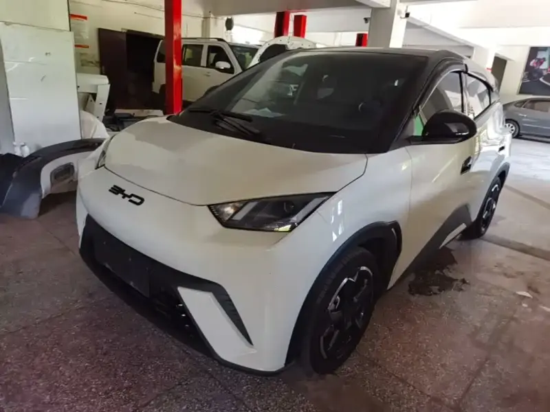 BYD Seagull